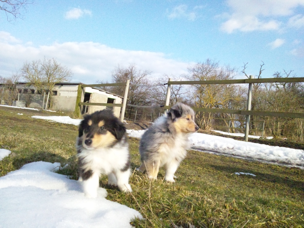 abby-aileen+atlas